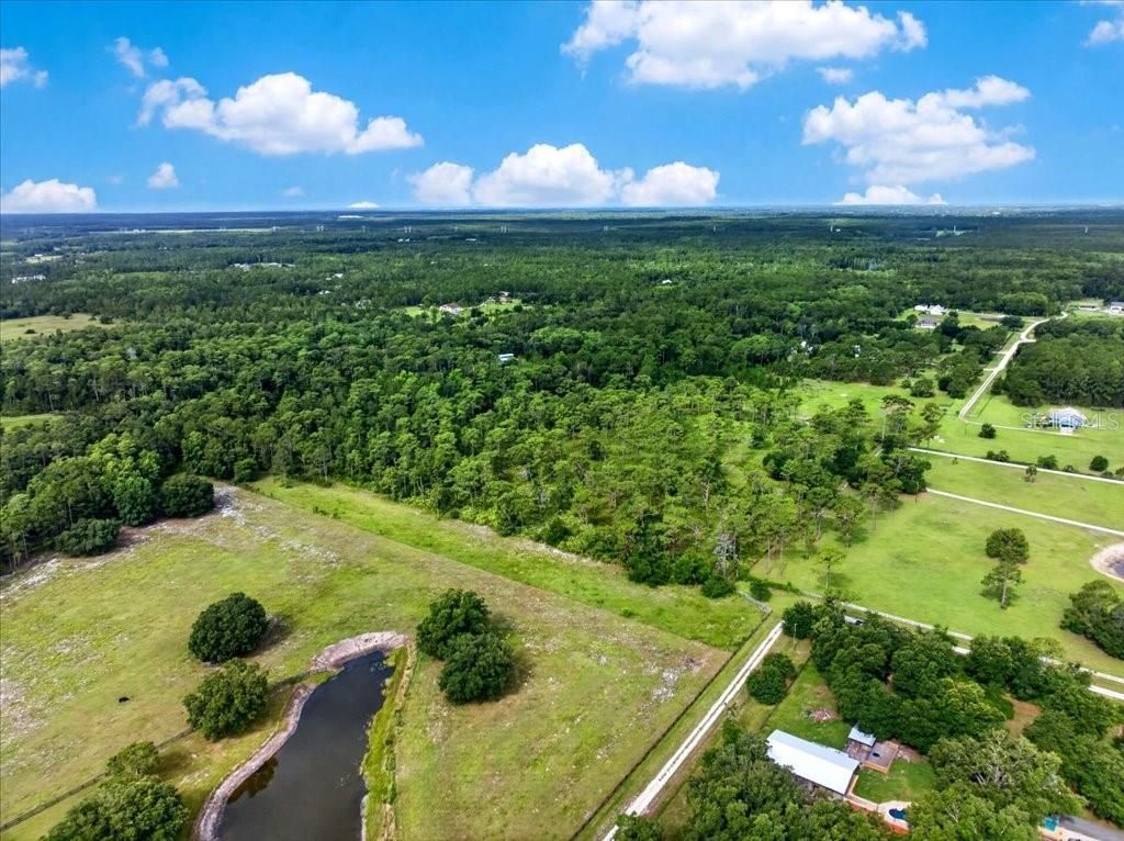 4600 Saddle Creek Run, New Smyrna Beach, FL 32168 Photo