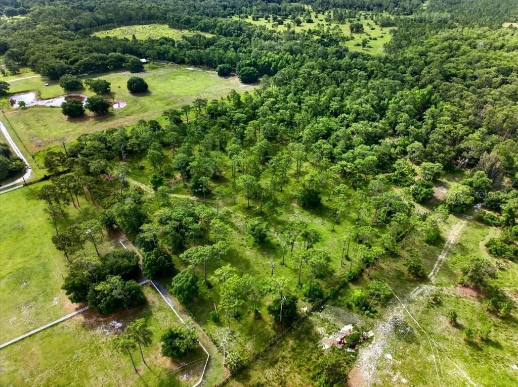 4600 Saddle Creek Run, New Smyrna Beach, FL 32168 Photo