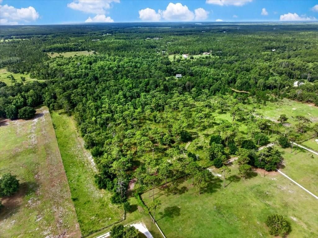 4600 Saddle Creek Run, New Smyrna Beach, FL 32168 Photo