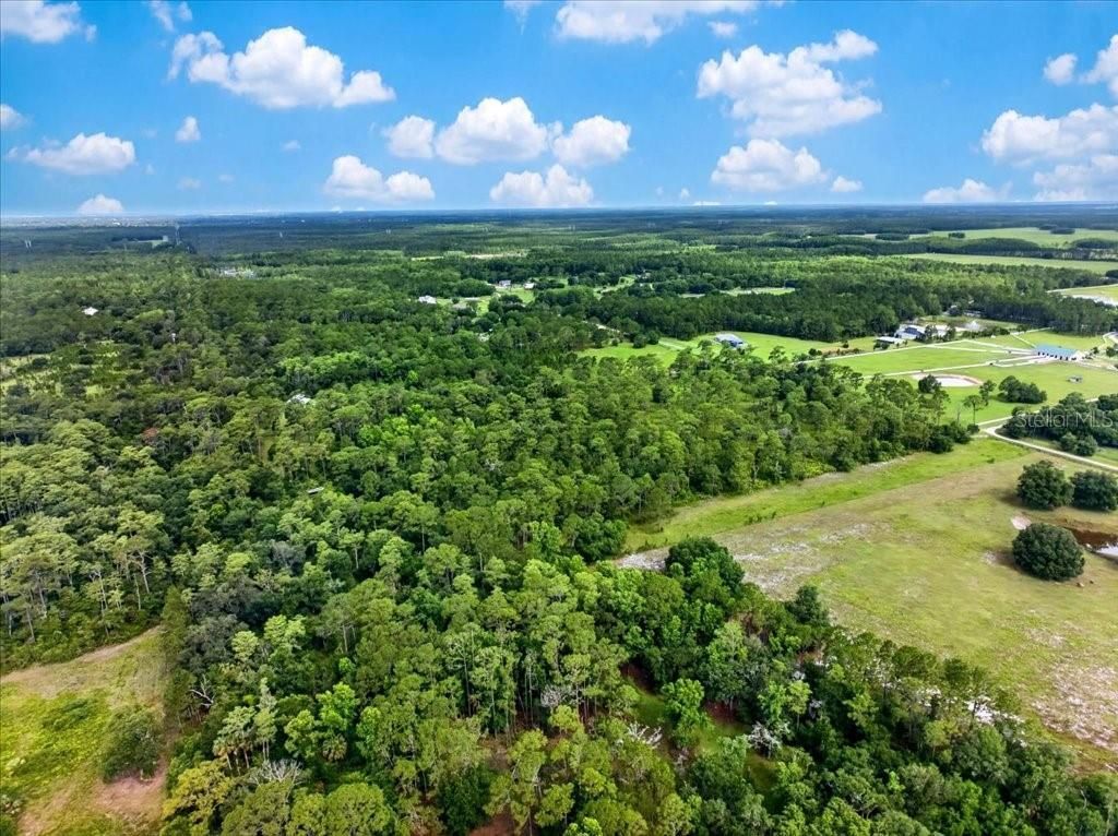 4600 Saddle Creek Run, New Smyrna Beach, FL 32168 Photo