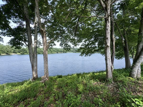 2061 Mockingbird Ln, Loudon, TN 37774