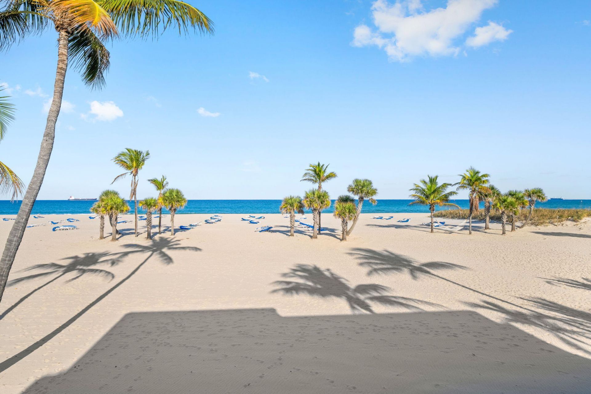 1680 S Ocean, Unit 250, Fort Lauderdale, FL 33316 Photo
