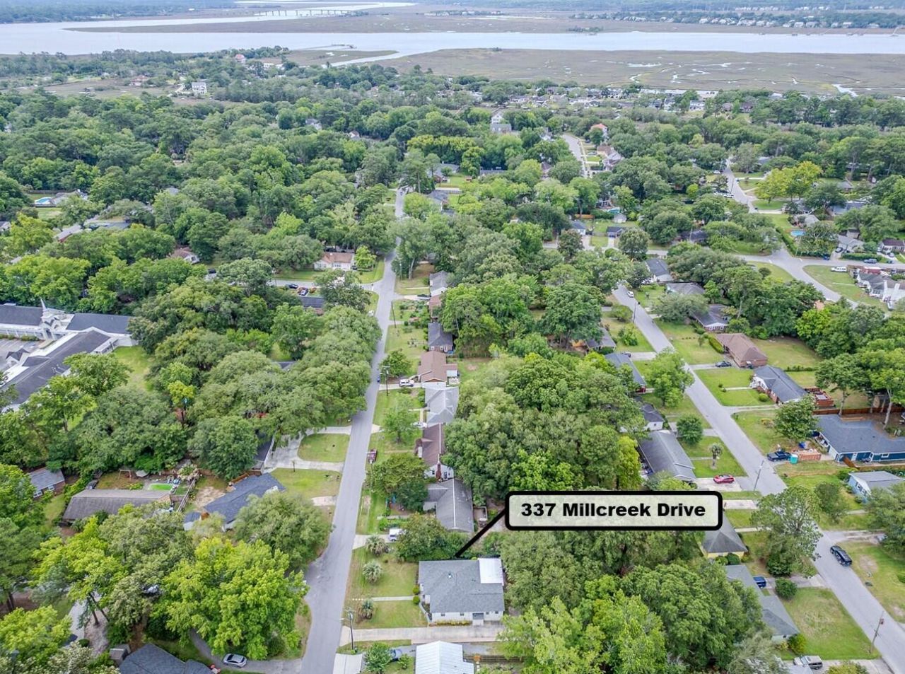 337 Millcreek Drive Photo 6
