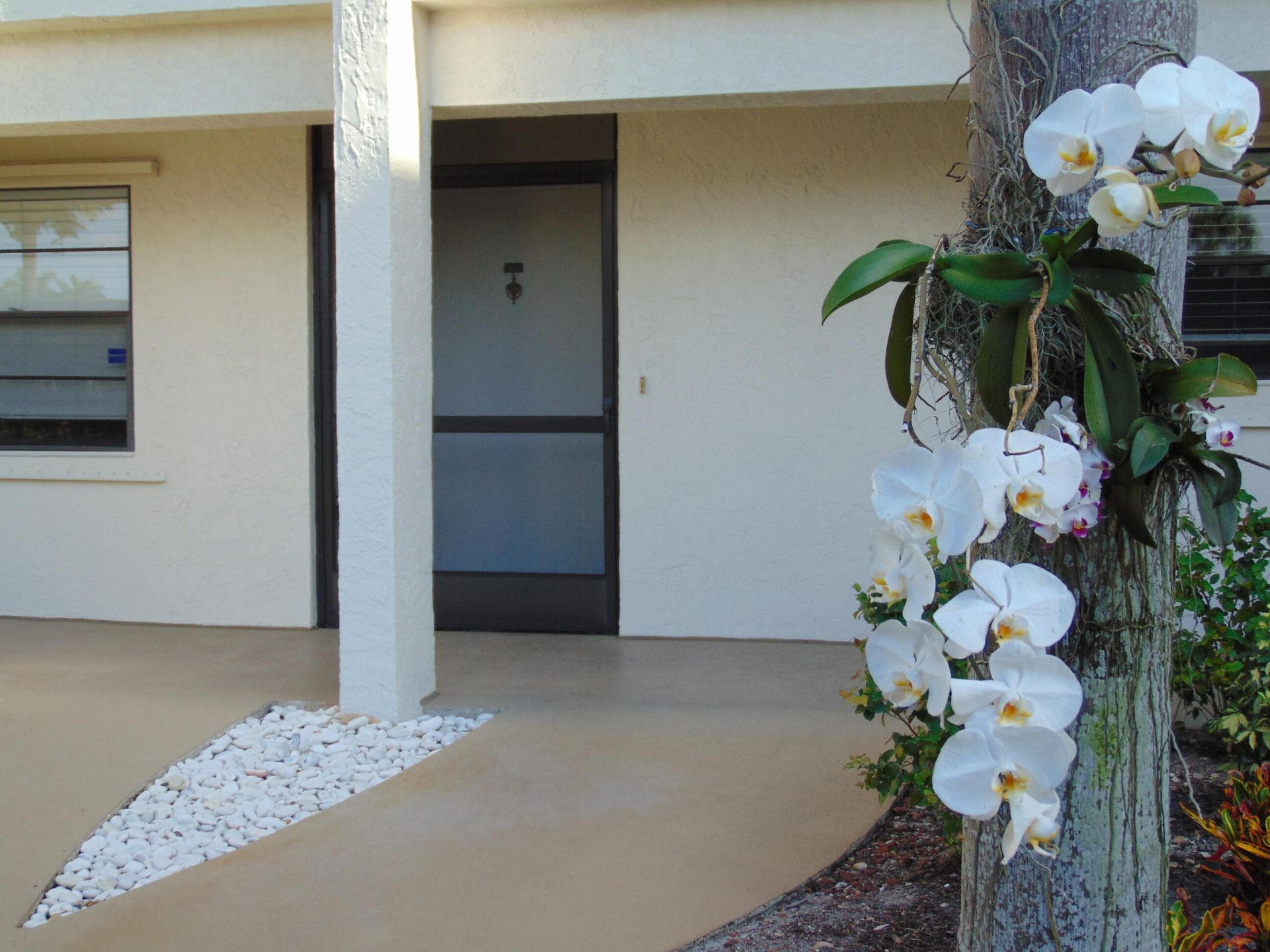 9220 SW 14th Street, Unit 3103, Boca Raton, FL 33428 Photo