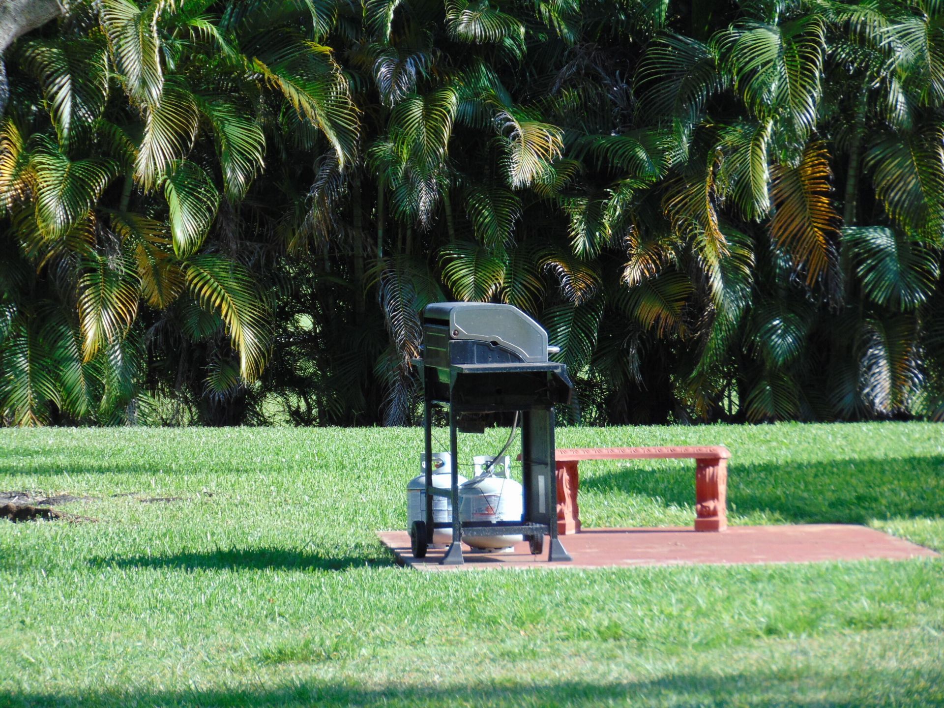 9220 SW 14th Street, Unit 3103, Boca Raton, FL 33428 Photo