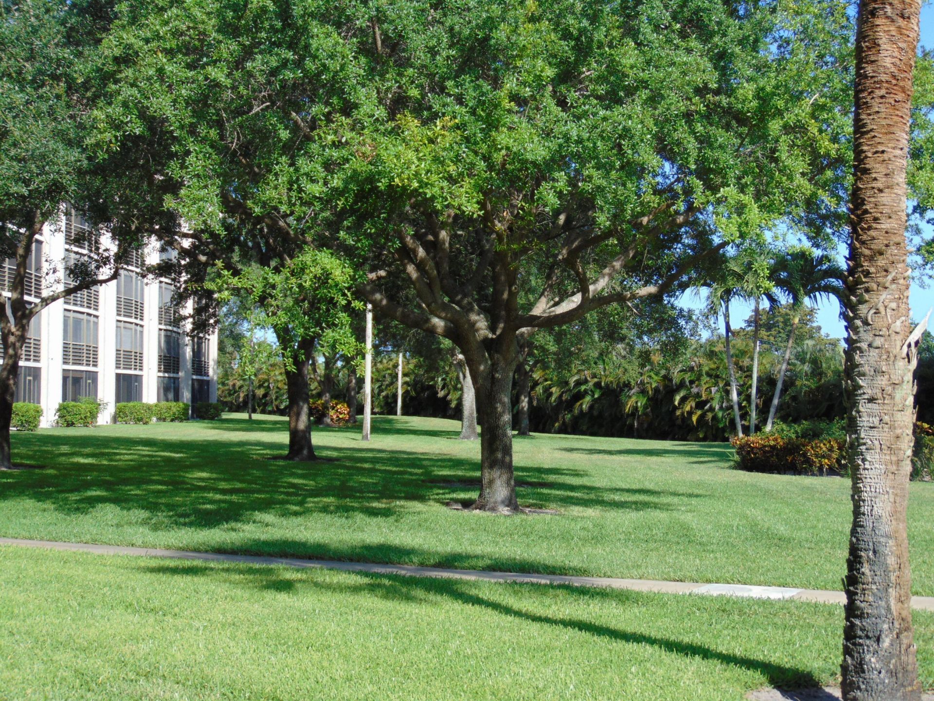 9220 SW 14th Street, Unit 3103, Boca Raton, FL 33428 Photo