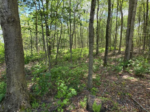 LOT 1 PIONEER Trail , Muncy Valley, PA 17758