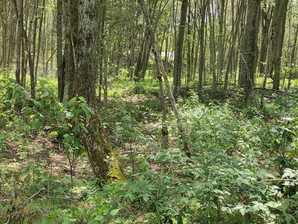 LOT 2 PIONEER Trail , Muncy Valley, PA 17758