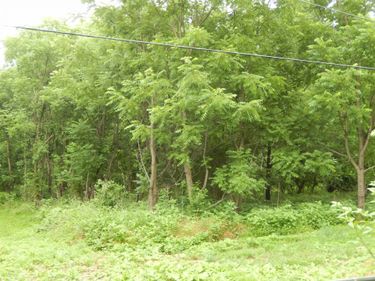 898 SANDY BOTTOM RD, ELKTON, VA 22827