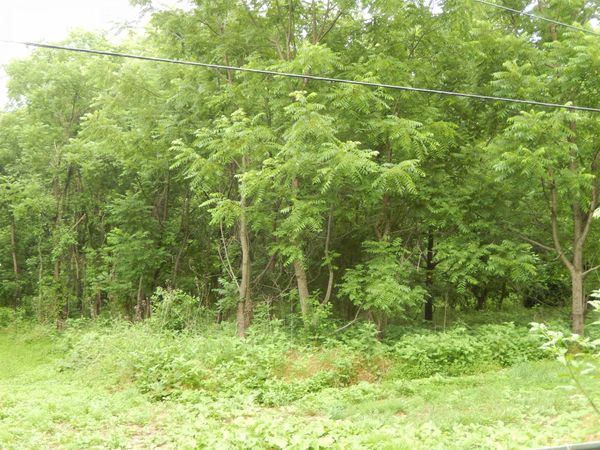 898 SANDY BOTTOM RD, ELKTON, VA 22827