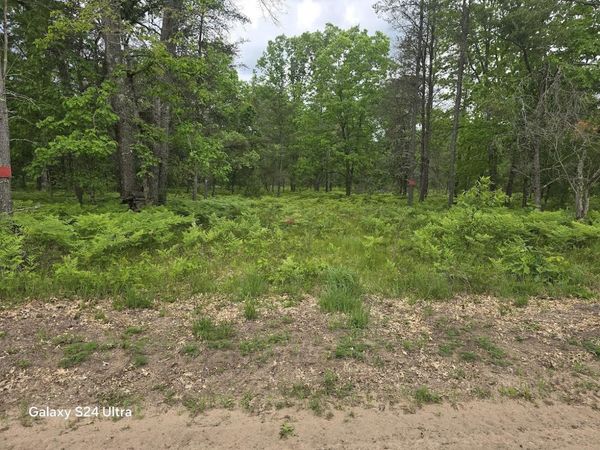 0000 S Forman Road, Unit 3, Baldwin, MI 49304