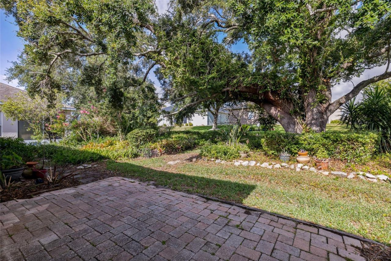 25245 Quail Croft Place, Leesburg, FL 34748 Photo