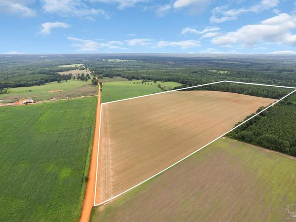 0 Old Stage Rd, Repton, AL 36475