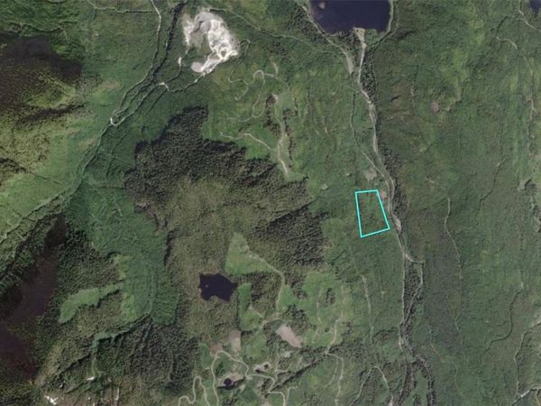 DL 1501 Benson Lake, Port Alice, BC V0N 2N0