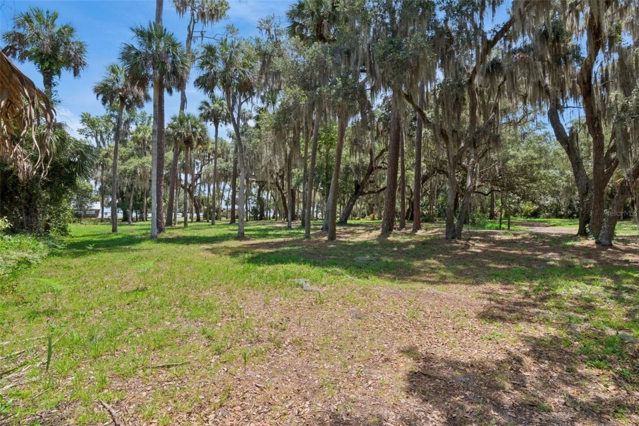 2380 Fort Lane Road, Geneva, FL 32732 Photo