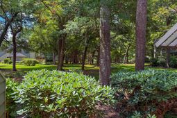 206 Westleton Dr.  photo 4