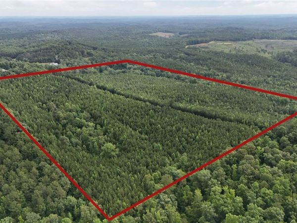 0 Skyview Lake , Cottondale, AL 35453