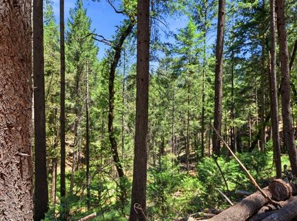 250 Secret Town Ln, Colfax, CA 95713 Photo