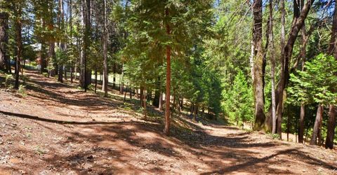 250 Secret Town Ln, Colfax, CA 95713 Photo