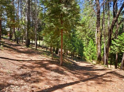 250 Secret Town Ln, Colfax, CA 95713 Photo