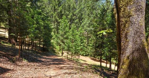 250 Secret Town Ln, Colfax, CA 95713 Photo