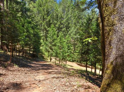 250 Secret Town Ln, Colfax, CA 95713 Photo