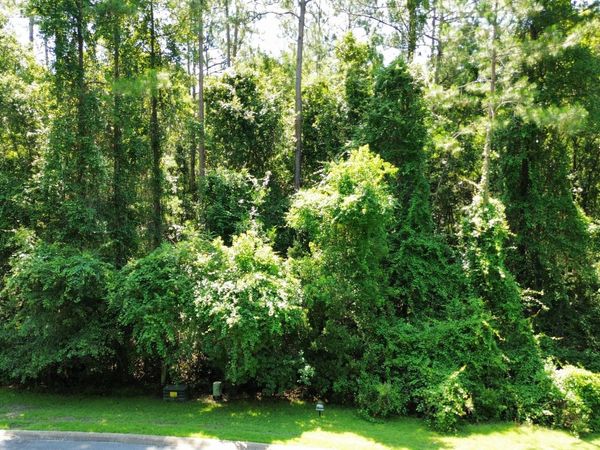 183 Sunrise Drive, Woodbine, GA 31569