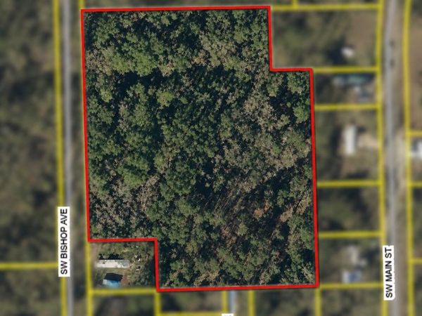 SW BISHOP Avenue , Greenville, FL 32331