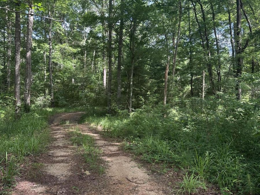 Property Image 6