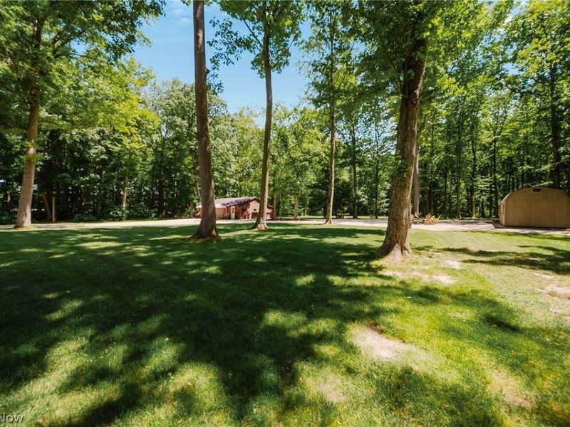 4879 Boneta Road , Medina, OH 44256 Photo 43