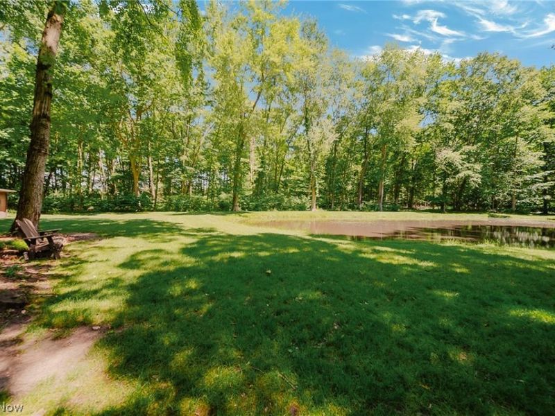 4879 Boneta Road , Medina, OH 44256 Photo 48