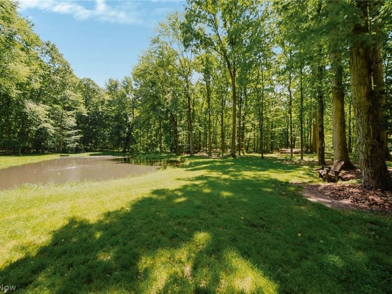 4879 Boneta Road , Medina, OH 44256 Photo 49