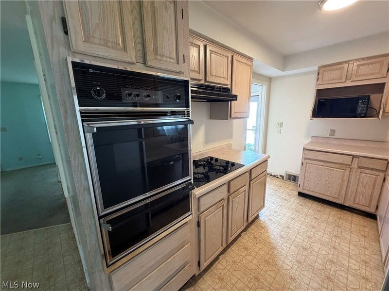 139 Centervale Avenue, Youngstown, OH 44512 Photo 3