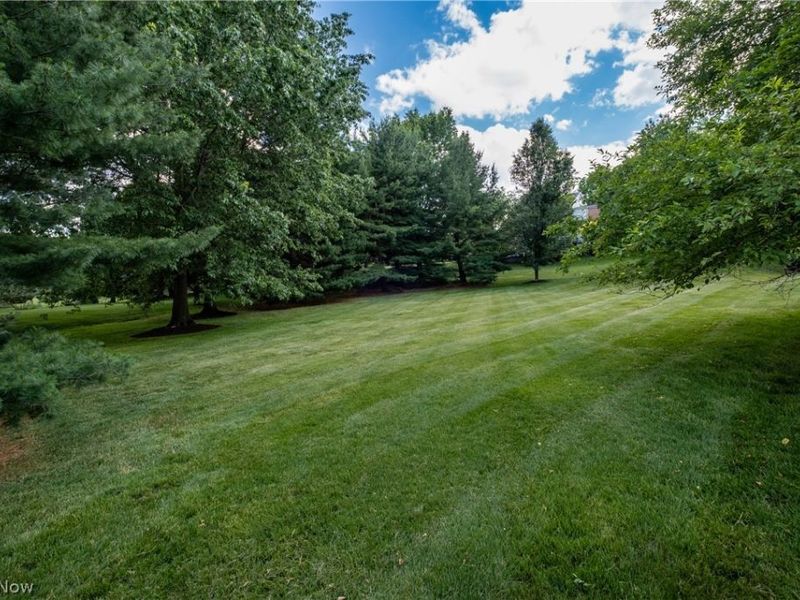 5534 Governors Avenue NW, Canton, OH 44718 Photo 10