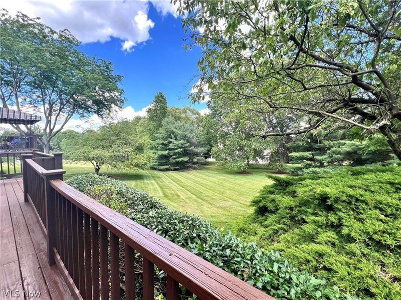 5534 Governors Avenue NW, Canton, OH 44718 Photo 4