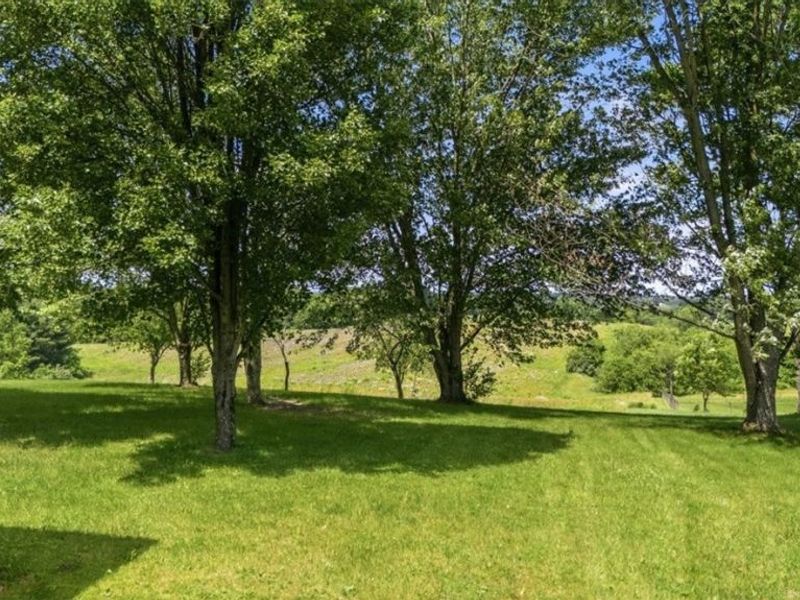 4731 State Route 555 , Little Hocking, OH 45742 Photo 4