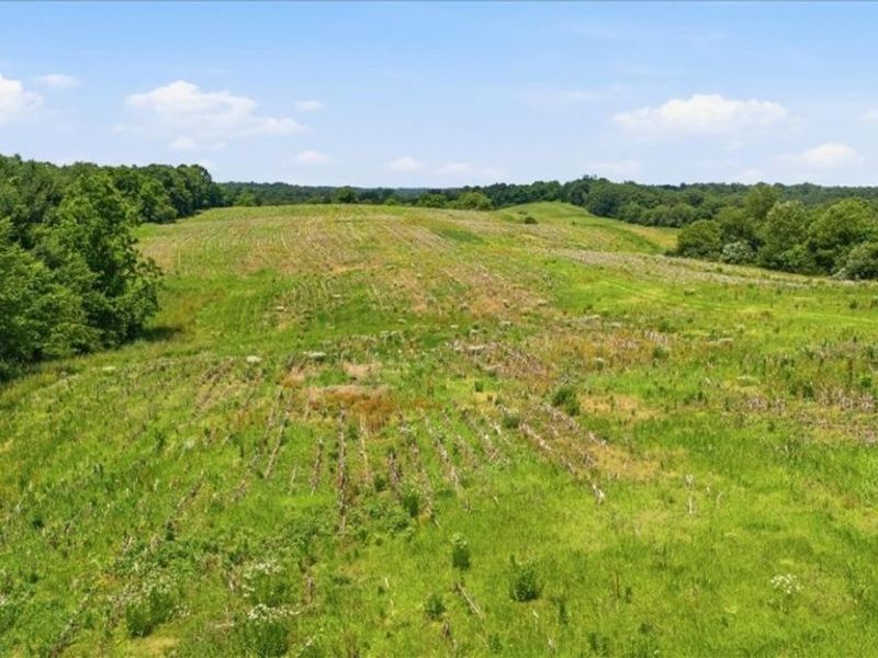4731 State Route 555 , Little Hocking, OH 45742 Photo 6