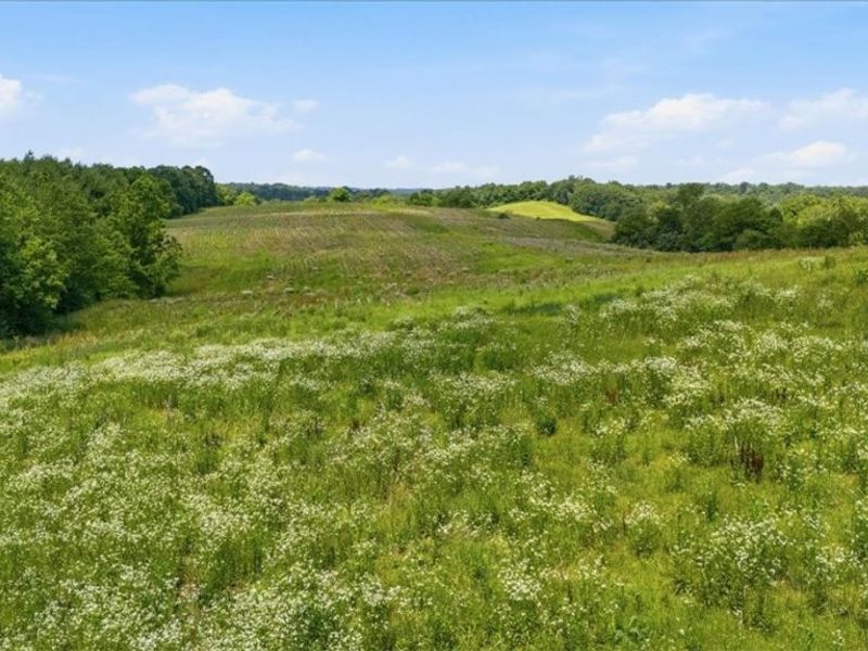 4731 State Route 555 , Little Hocking, OH 45742 Photo 7