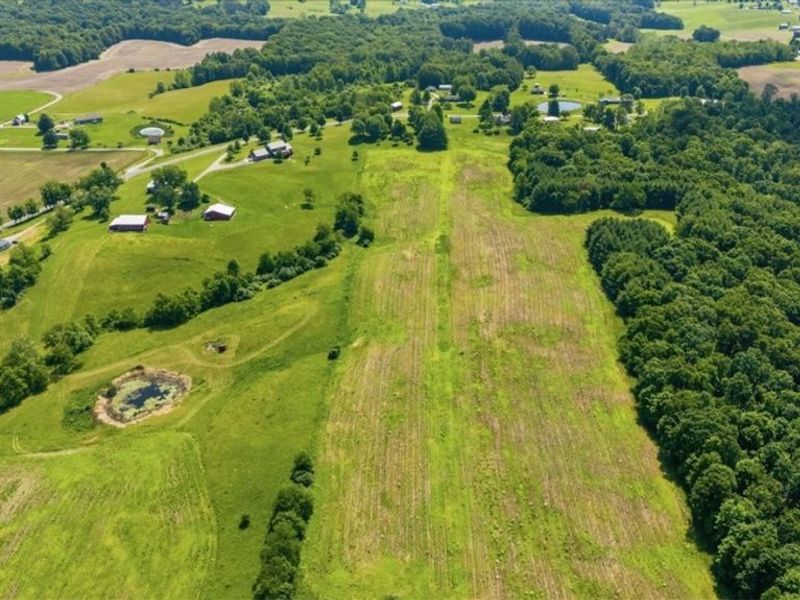 4731 State Route 555 , Little Hocking, OH 45742 Photo 9