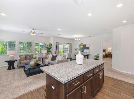 1510 Stonebridge Ct, Ione, CA 95640 Photo