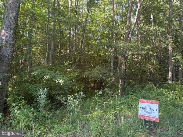 0 MILL POND ROAD, HANCOCKS BRIDGE, NJ 08038