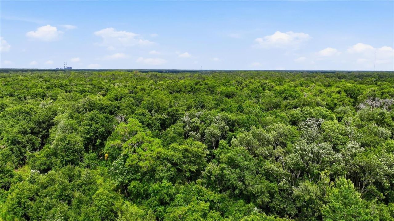 13805 County Road 675 , Parrish, FL 34219 Photo