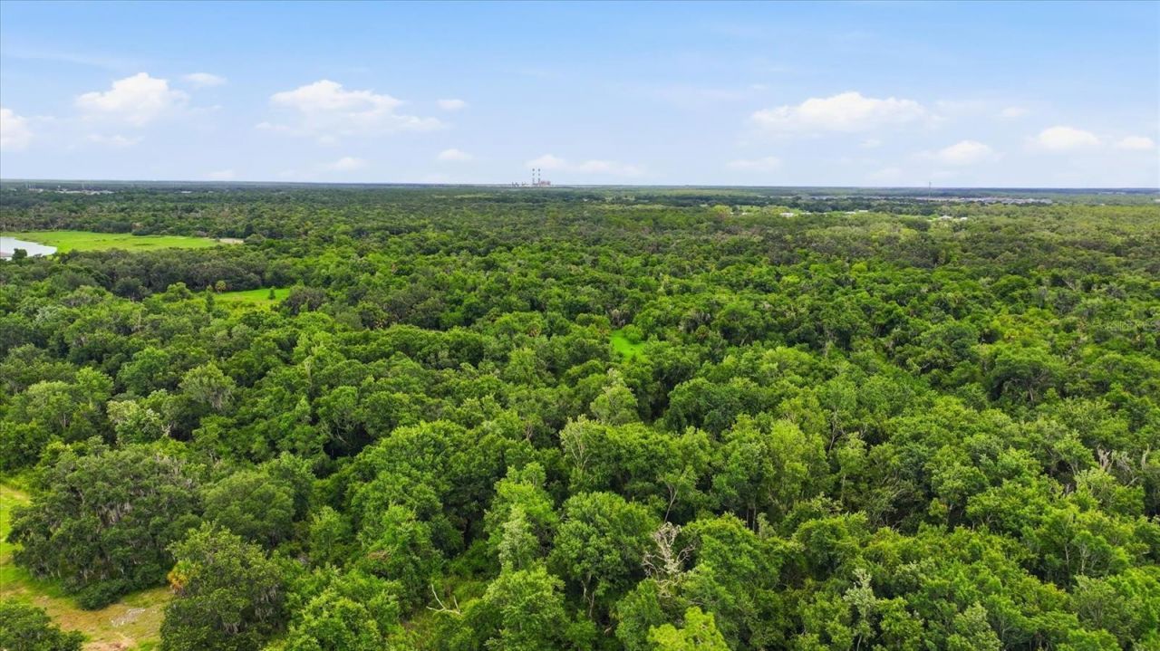 13805 County Road 675 , Parrish, FL 34219 Photo