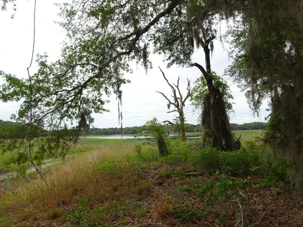 2208 SW Shorewood Drive, Dunnellon, FL 34431