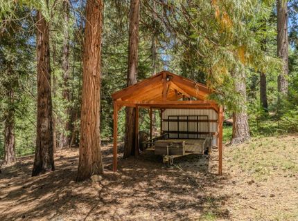 27985 Starlight Dr, Pioneer, CA 95666 Photo