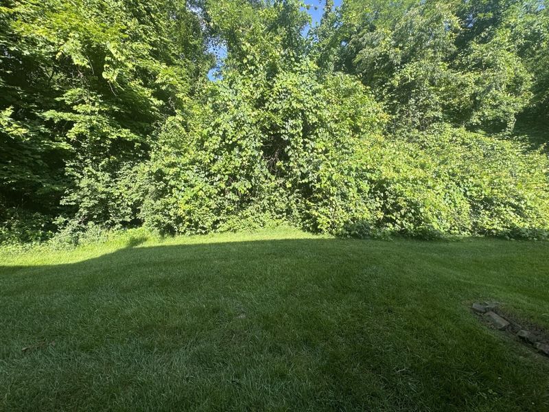 2446 Palmeadow Drive, Crestview Hills, KY 41017 Photo 11