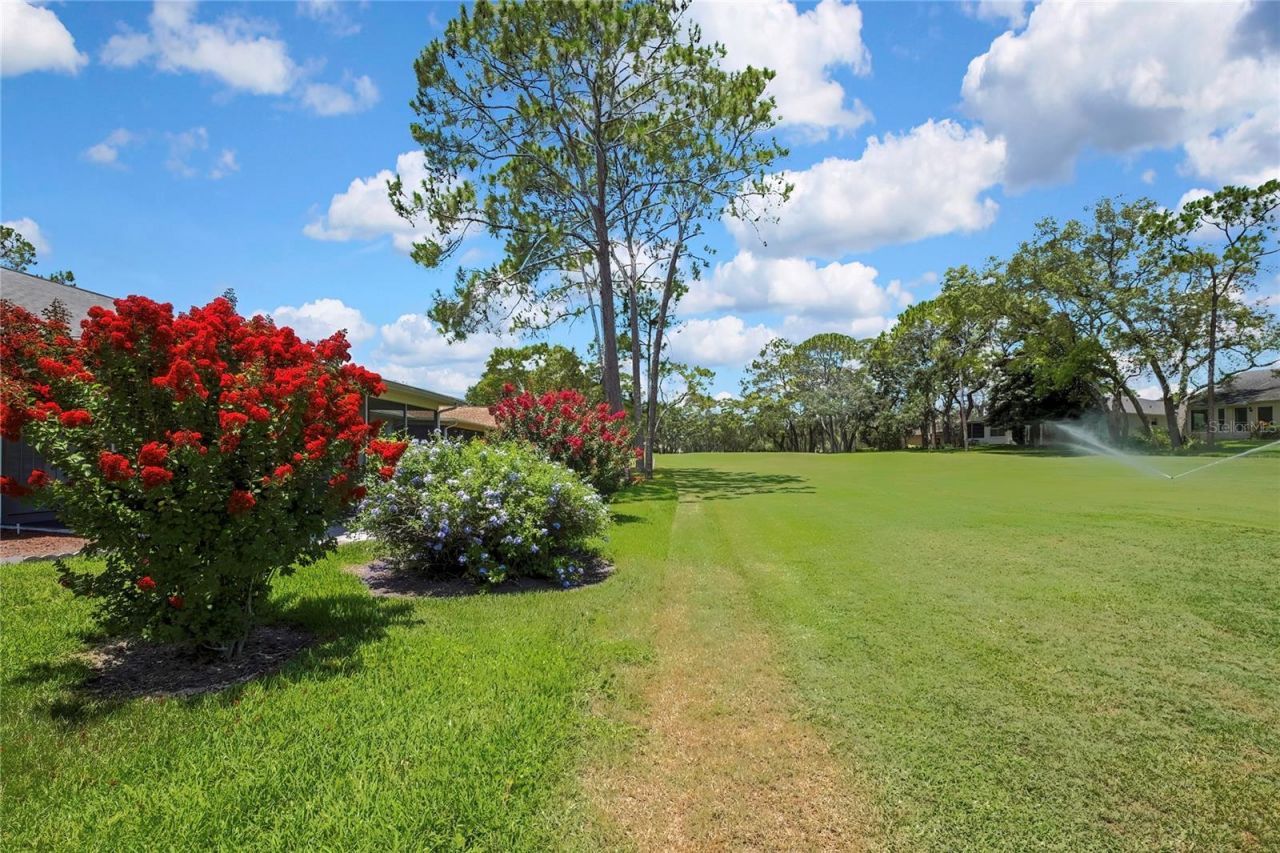 7103 Crown Oaks Drive, Spring Hill, FL 34606 Photo