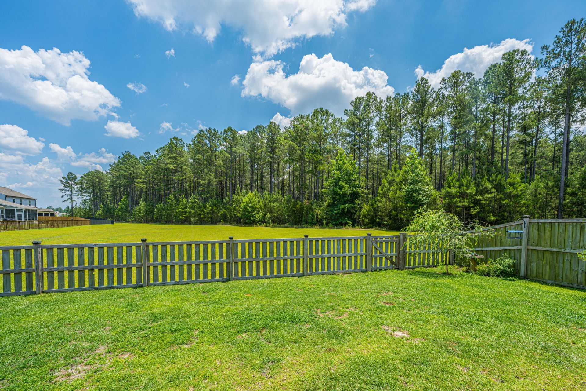 171 Airy Drive Photo 18