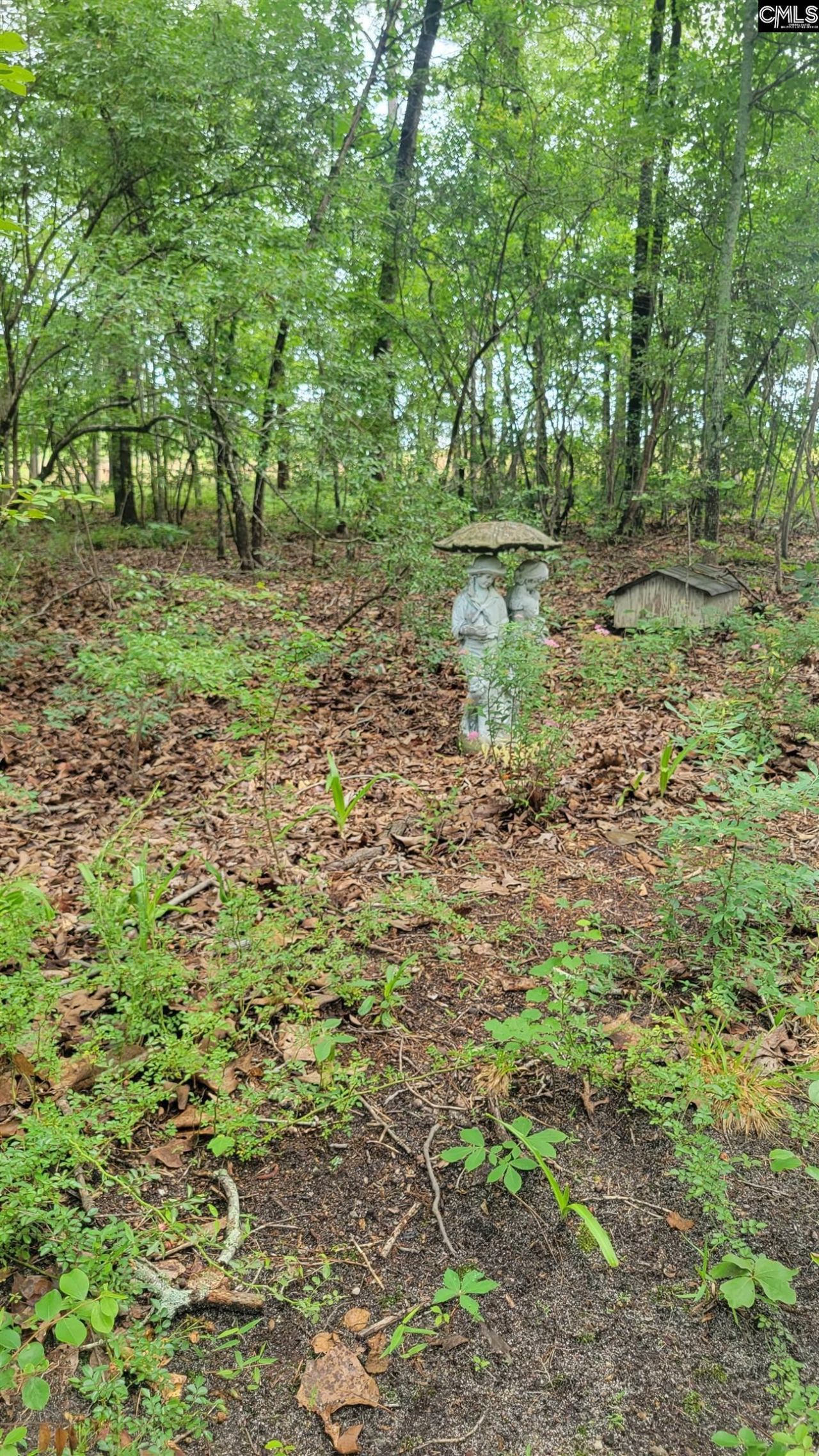 742 Elbert Taylor Road  Photo 62