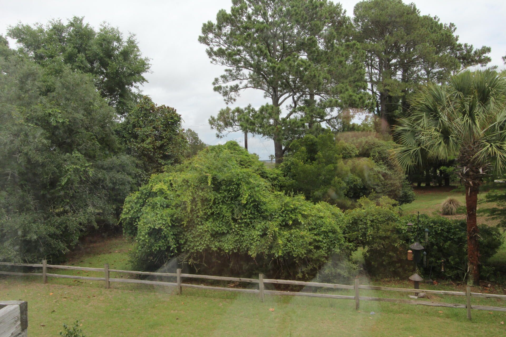 1802 Hopeman Lane Photo 34